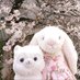 fraise_dress (@usagi_to_alpaca) Twitter profile photo fraise_dress (@usagi_to_alpaca) Twitter profile photo