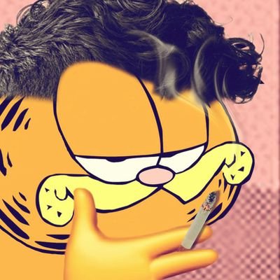 bunnygarfine's profile picture. keine angst ich larpe (nicht) | CEO von Augenbrauen