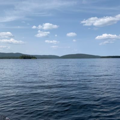 lLebstef's profile picture. 