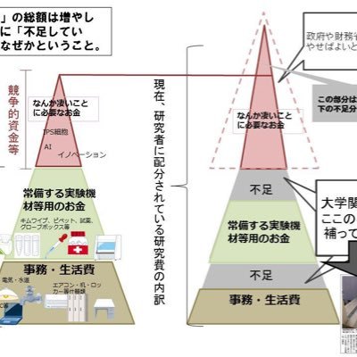 高等教育観察家。