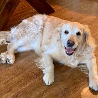 ReedPalmer4's profile picture. Husband, Father, Grandfather, Great-Grandfather