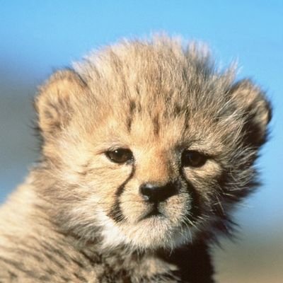 saso1495's profile picture. 노란빛에 물든 시간에서 기다릴게