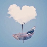 أجِر لـروح محمد علوان🌿 (@xvvvcs) 's Twitter Profile