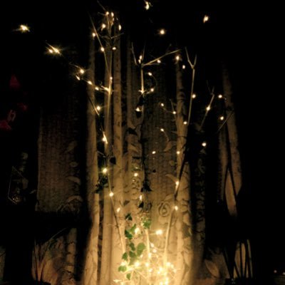 Thought47232292's profile picture. 