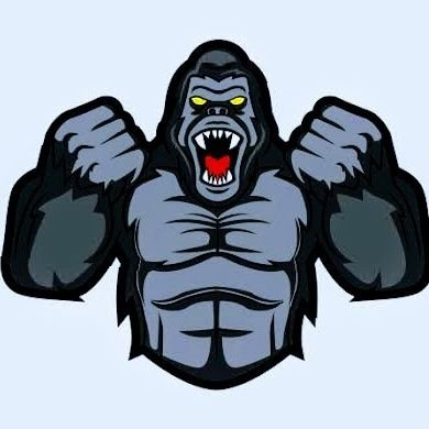 LawsOfMotion's profile picture. 