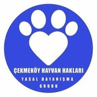 Çekmeköy Hayvan Hakları Yasal Dayanışma (@hayvanyasal) 's Twitter Profile