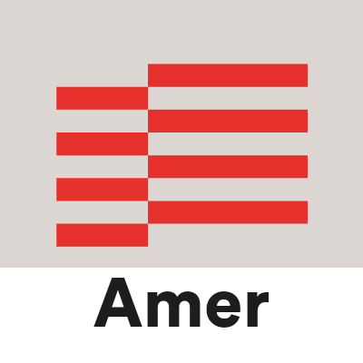 Consell Local Amer