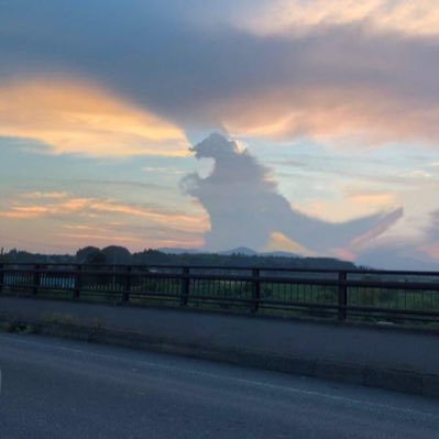 Gratefulj's profile picture. If you’re following more people then you have followers, you’re a follower not a leader. I keep an AR in the back of my Tesla.