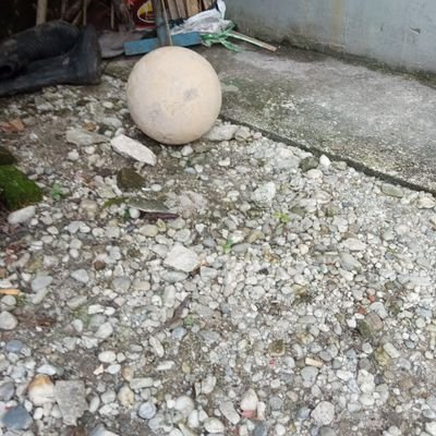 HeriYan23427559's profile picture. enjoy