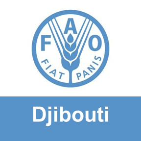 Toute l'information sur la @FAO à #Djibouti. 
Suivez notre Directeur général QU Dongyu: @FAODG. 
Représentant: @CoumbaDSow