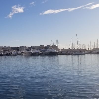 Eric777Wang's profile picture. 