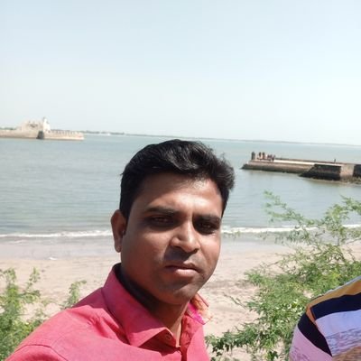 sajju81's profile picture. 