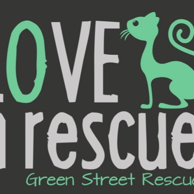 cats_kj's profile picture. 