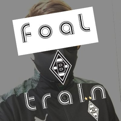 freshly minted borussia mönchengladbach blog