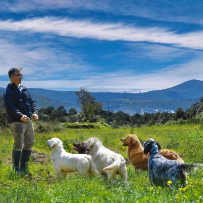 Canófilo. Casado. Convencido de que por primera ocasión en la historia una mujer continuará la transformación de nuestro amado País #ClaudiaPresidenta