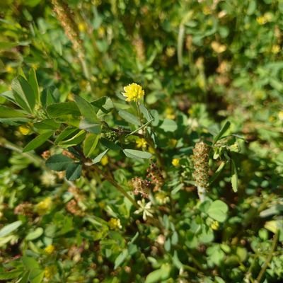 akanz81's profile picture. 