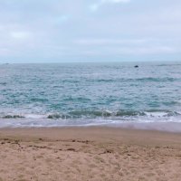 ただ沖に立って見てた (@ytr2jigen) 's Twitter Profile Photo