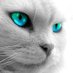 ADSRX (@adsrx) Twitter profile photo ADSRX (@adsrx) Twitter profile photo