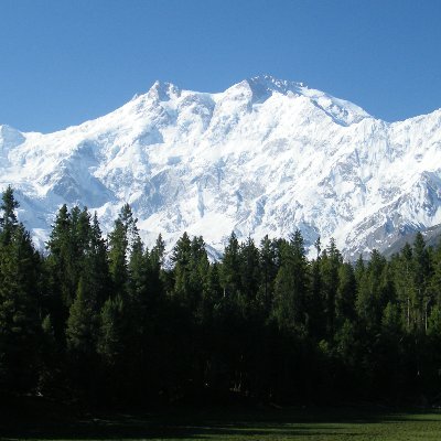 MDin_Majd's profile picture. 