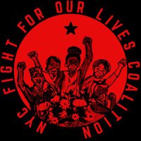 FightForOurLivesNYC(@fight_nyc) 's Twitter Profile Photo