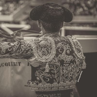 Despierta y corre en busca de tus sueños.Tú eres el único dueño de tu destino.Viviendo mi sueño.Torero de Plata. La familia lo más importante.