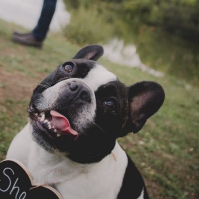 Cheery_slacker's profile picture. dishing out love and laughter ❤️ Sailing into the Sunset of life🌅⛵️