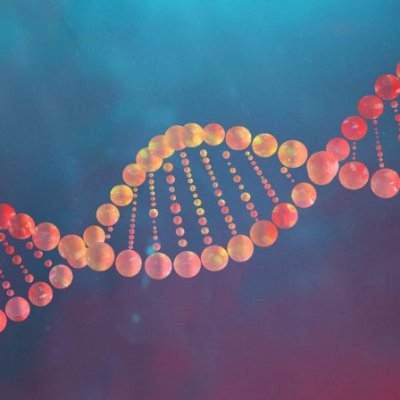 It's in our DNA - Teaching and Learning at Duke's.