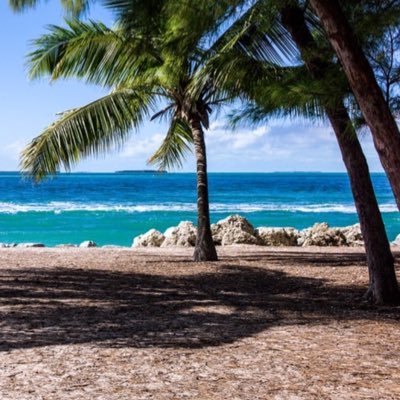 AlexJam04997288's profile picture. 