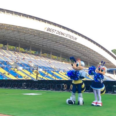 sktd11_sktd's profile picture. 宗教上ブラックモンブランが食べれない🐝