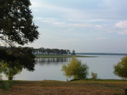 We offer great deal on Texas Land!
We also sell cracked pecans each fall from our small orchard in South Texas: https://t.co/izG5ZXLmQD