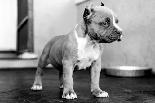 young_nz's profile picture. 