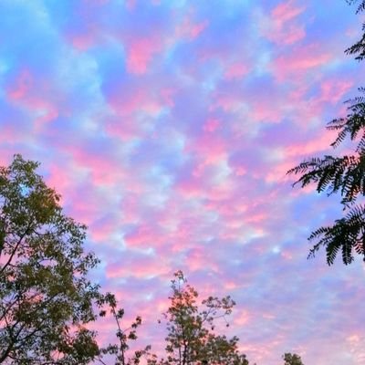 pinksky_'s profile picture. 