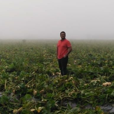 JulioCesarBaneg's profile picture. ND always