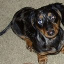 Aaron Beesley - @aaronbeesley991 - Twitter