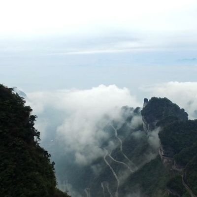 imdfcn's profile picture. 