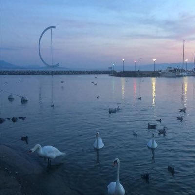 aljoharabalgho1's profile picture. 