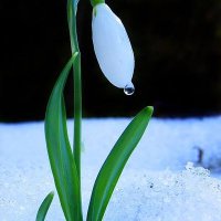 İrfan Kuyumcu (@rfankuyumcu2) 's Twitter Profile Photo