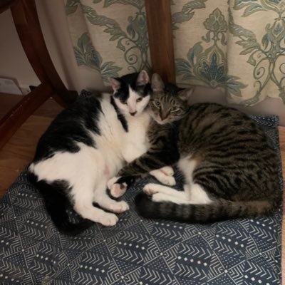 AlinaMiles12's profile picture. 