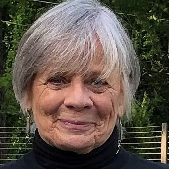 DanaDellis's profile picture. US Army veteran and Registered Nurse.@MomsDemand volunteer @PPC volunteer Believe that "Justice is what love looks like in public."-Cornel West #EndGunViolence