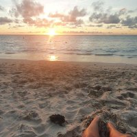 dawndefontaine (@dawndefontaine) 's Twitter Profile