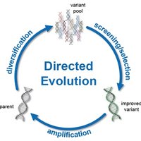 Protein Engineering and Directed Evolution Papers(@and_protein) 's Twitter Profile Photo