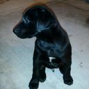 jeff lofton - @jeff1lofton - Twitter