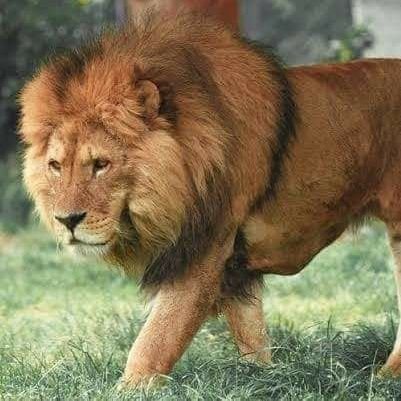 j7sQQqLg5l6OSCD's profile picture. 