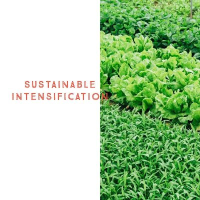 SustainableInt1's profile picture. Our mission is to help the earth combat climate change while helping indigenous women create business success with farming sustainable methods.
