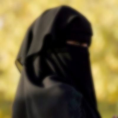 قَالَ مَولَانَا العَسکَرِي صَلَوَاةُ اللهِ عَلَیهِ: نَحنُ حُجَجُ اللهِ عَلی خَلقِهِ وَ جَدَّتُنَا فَاطِمَةُ حُجَةُ اللهِ عَلَینَا
