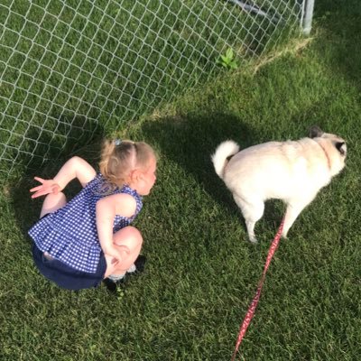 Hameister16's profile picture. I’m so glad they finally created a sarcasm font.