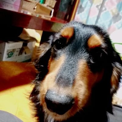 rbY20BHAOzVFOF4's profile picture. 