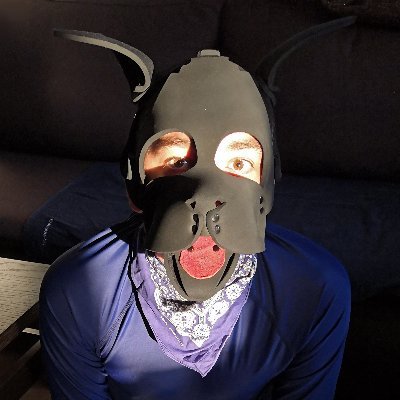 Woof!
friendly sub pup, into BDSM, bondage, chastity, lycra and rubber fetish and kinks