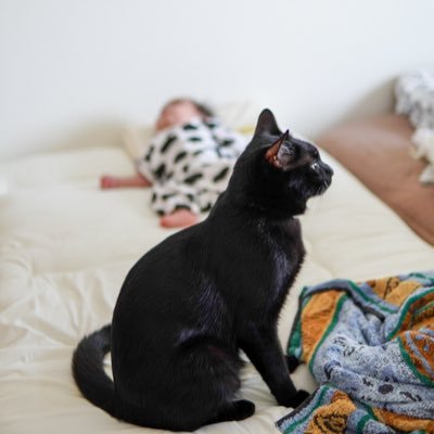 Soicha2's profile picture. そいちゃの写真勉強用