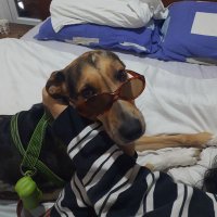 🐕 (@hazlopablito) 's Twitter Profile